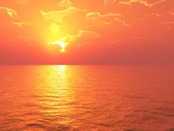 Orange Sunset